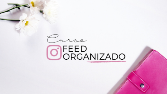 curso feed organizado 06 - Curso Feed Organizado | Como Ter Mais Seguidores no Instagram