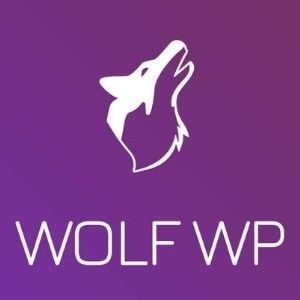 Tema Wolf WP: Melhor Tema Pago Para Blog WordPress